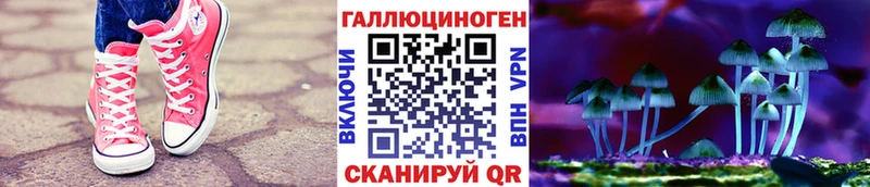 mega зеркало  Можайск  Псилоцибиновые грибы Psilocybe 